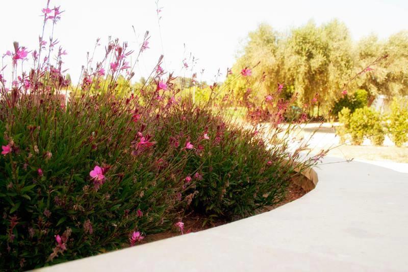 Agriturismo Fontanelle โอตรันโต ภายนอก รูปภาพ