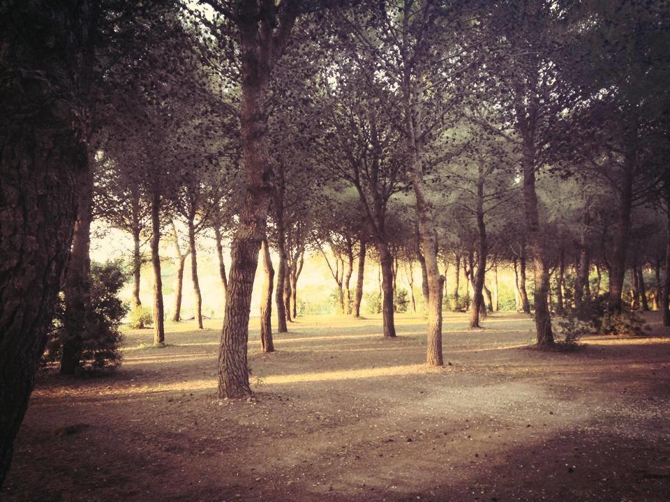 Agriturismo Fontanelle โอตรันโต ภายนอก รูปภาพ